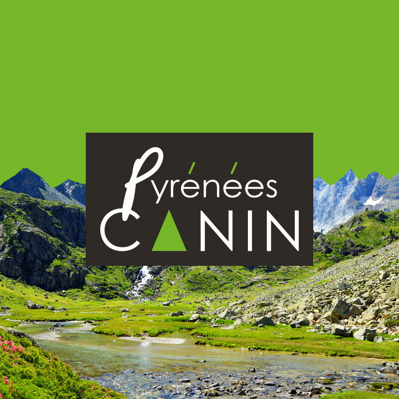 PyreneesCanin