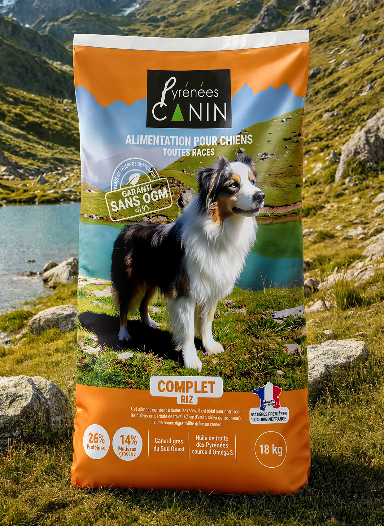 PyreneesCanin2