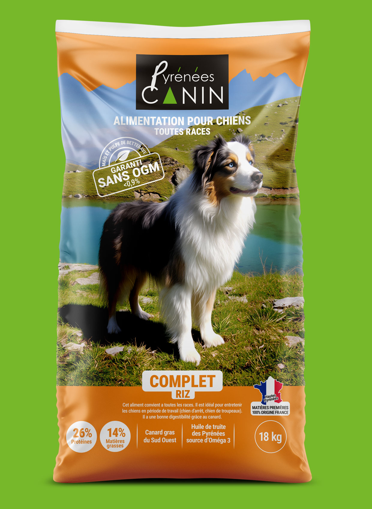 PyreneesCanin4